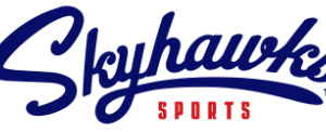 Skyhawks Baseball Camp
